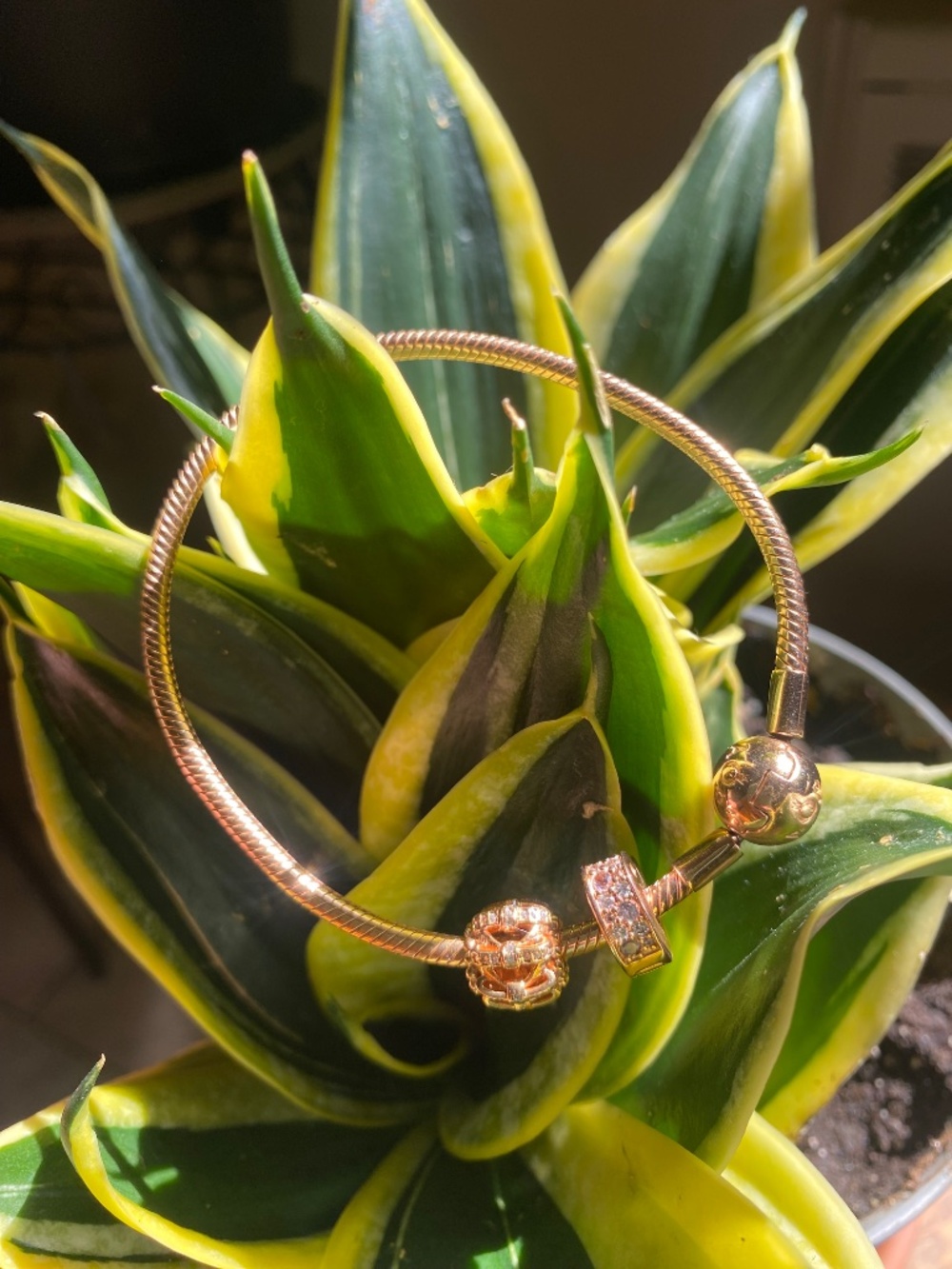 PANDORA Rose Gold - Picture 3 of 6